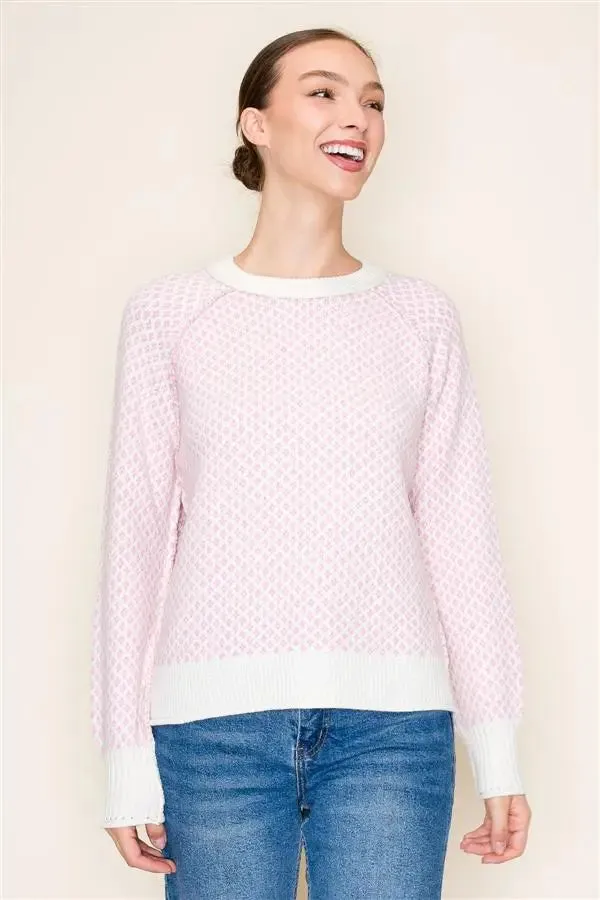 Sandee Textured Pullover Sweater